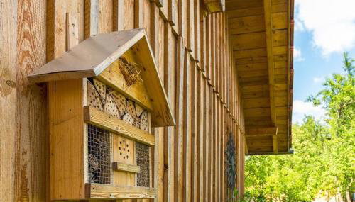 Ferienwohnung Obstwiese - Foto 3