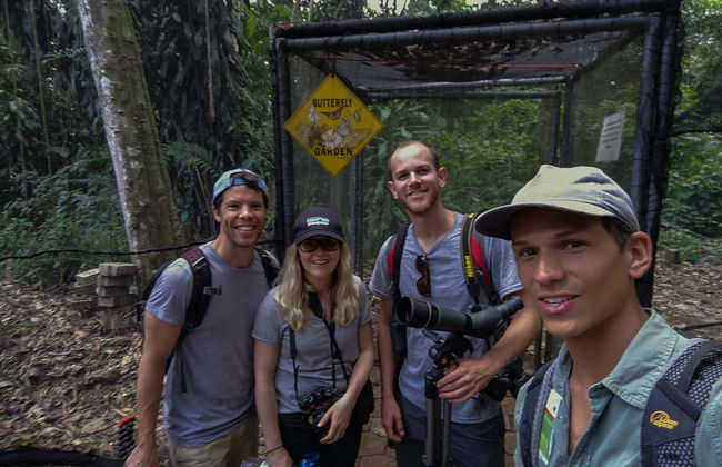 Avistamento de aves e bichos-preguiça em San José - Foto 11