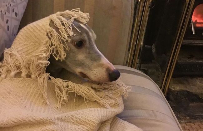 Impeccable 3-bed 17th Century Luxury Cottage - Foto 8