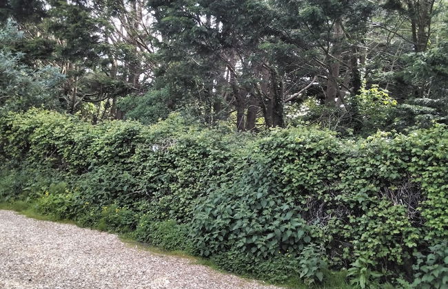 Charming Chalet in the Midst of Nature - Foto 18