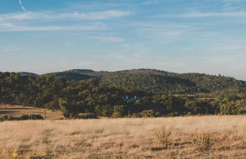 Monte dos Pintos - Foto 42