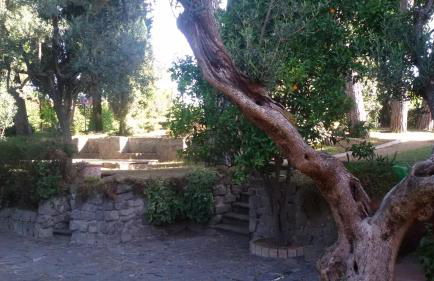 La Dolce Casetta - Foto 72