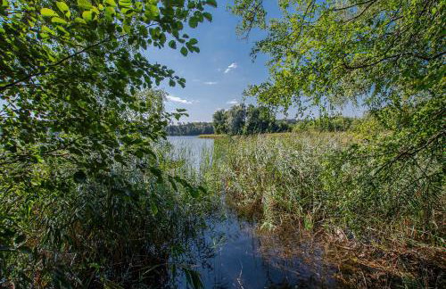 Całoroczny dom wakacyjny - Foto 37