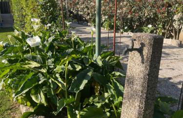 Casa da Cinzia - Foto 26