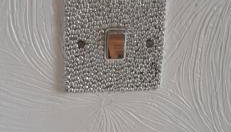 Our Guests Are Royal (EL) Wellingborough - Foto 3