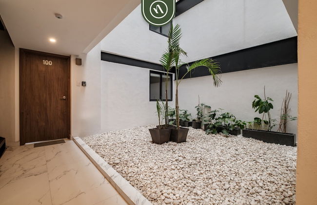 Rioneva38 in Mexico City - Foto 10