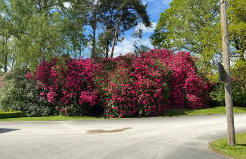 Hare Lodge - Foto 32