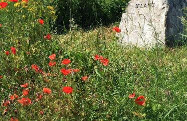 Ferien- Und Winzerhof Simon - Photo 26