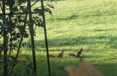 Hameau des Galottières-Perche, immersion nature à 2h de Paris - Foto 31