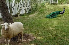 Cortijo Bablou - Foto 54