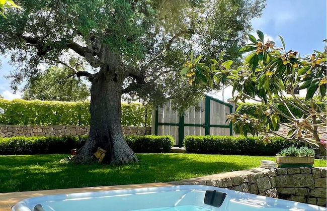 B&B Il giardino degli ulivi - Foto 6