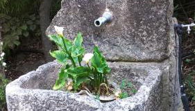 La Casita con piscina privada de tres dormitorios - Photo 3, Garden