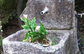 La Casita con piscina privada de tres dormitorios - Photo 3