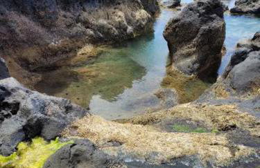 Finca El Lance - Foto 59