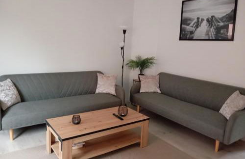 Les charmes de la Kirneck - Photo 41