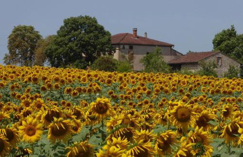 Les Campsis - Foto 21