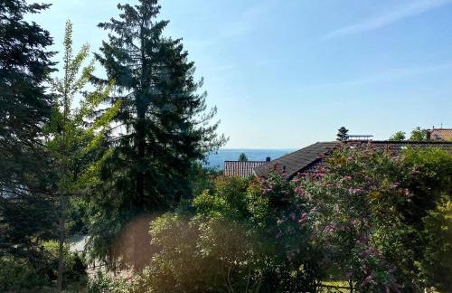 BALTHASAR RESS Guesthouse am Rebhang im Rheingau - Foto 24