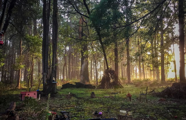 Balingup Heights Hilltop Forest Cottages - Foto 45