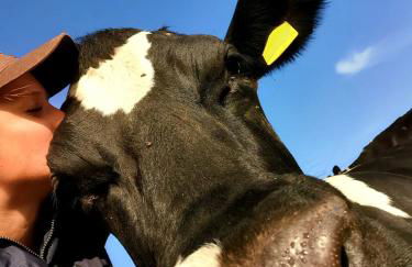 Hof Reckermann I - Foto 18