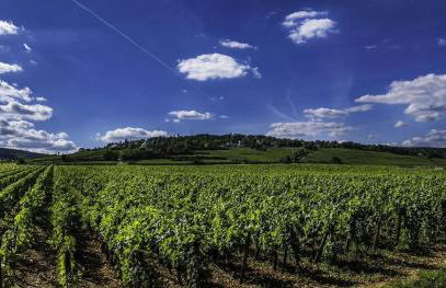 Gite la Maison du Tonnelier - Foto 35