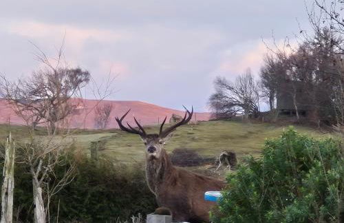 "Balmoral View" - Foto 7