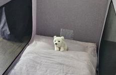 Soulmates Resorts - Feldberg - Foto 18