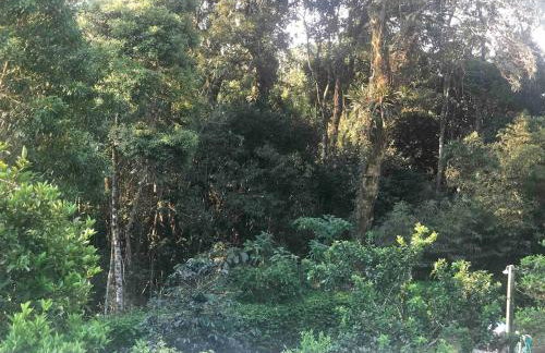 Relaxing cottage in Teresópolis, Comary farm - Foto 57