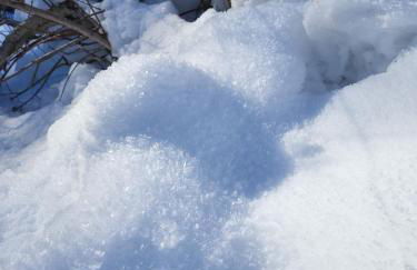 Allgäu Apartments Hüs 4 Ferienwohnung mit Self-Checkin - Photo 31