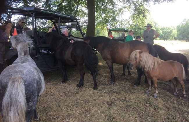 House in Hunzebergen Near Forest Trails - Foto 49