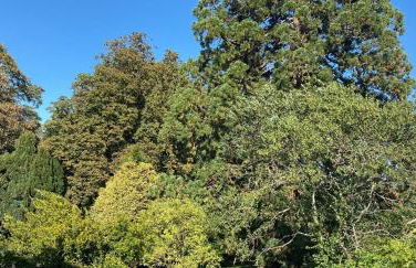 Cosy Er Lann Gîte Cèdre - Foto 47