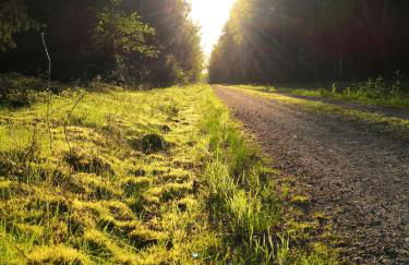 Ferienhof Trapp Heuhotel - Foto 75