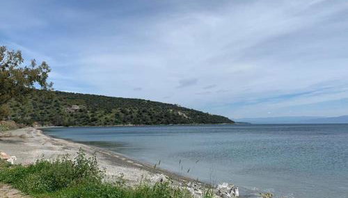 Niki's House - Foto 4