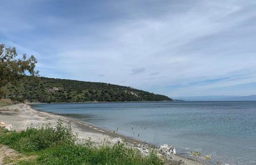 Niki's House - Foto 4