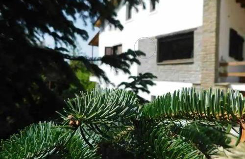 Villa Roula Suite - Foto 19