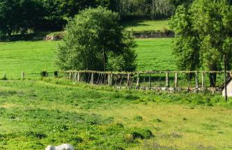 Quinta de Pindela - Natureza e Tradicao - Foto 51