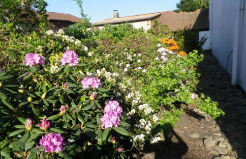 Alte Malztenne im Herzen der Schorfheide - Foto 10