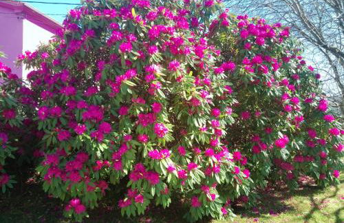 Puente Romano - Foto 39