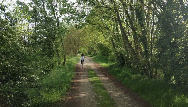 Valpolicella Electric Bike Wine Tour - Foto 3