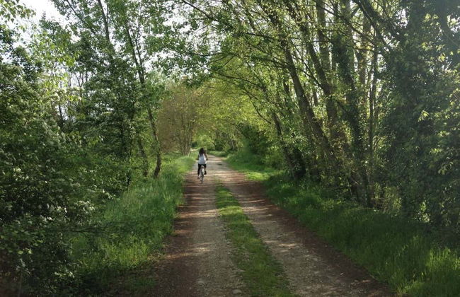 Tour del vino en bicicleta eléctrica por Valpolicella - Foto 3
