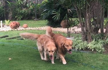 Casa América - Photo 21