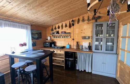 Bieszczadzkie Wzgórze Saunowe- Jacuzzi i Sauna w cenie pobytu - Foto 76