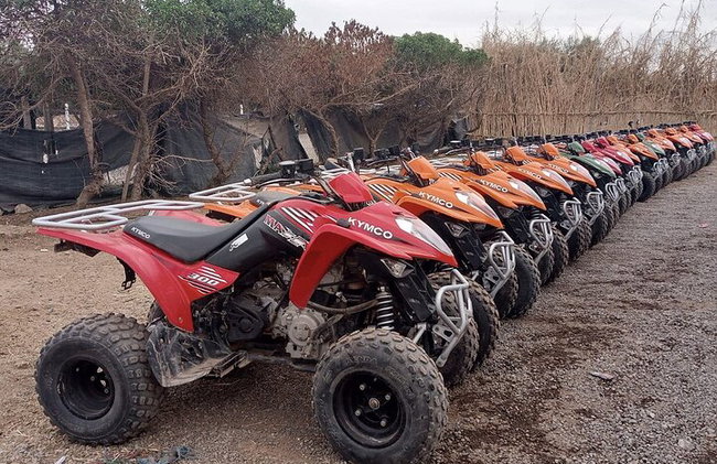 "Jardín Majorelle y Palmeraie en quad: aventura en Marrakech" - Foto 7