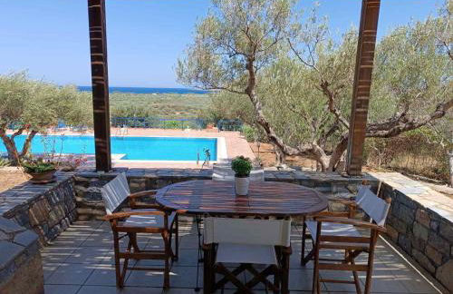 Olive Garden Houses - Photo 4