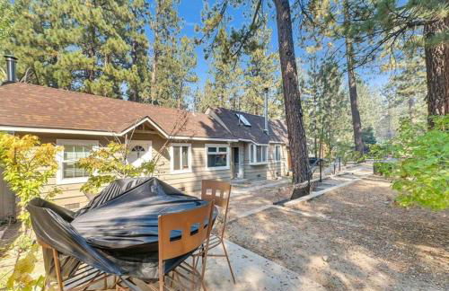 Merri Bear - Foto 15