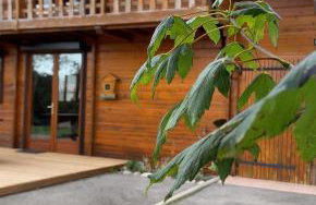 Chalet Aster 3 étoiles - Foto 6