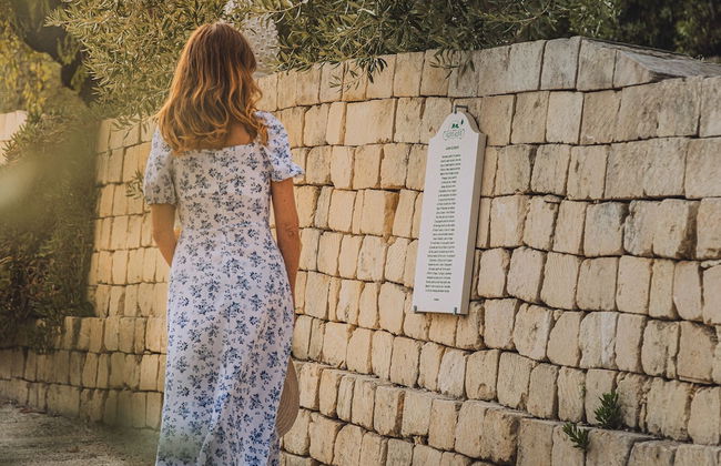 Tenuta Olive Alive - Foto 71