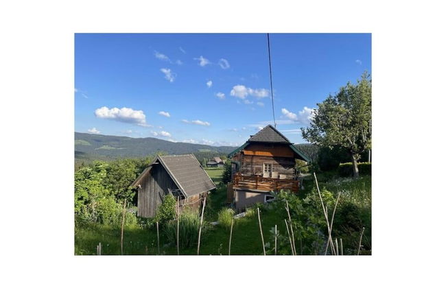 Andi's Berghutte Comfortable Holiday Residence - Foto 1