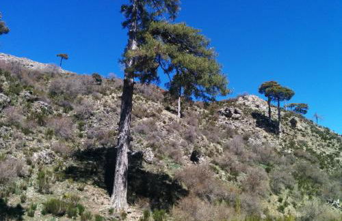 CASA RURAL CURTIDORES - Foto 4