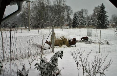 Holiday Home Oderhäuschen by Interhome - Photo 39