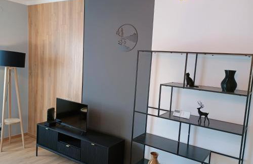 Apartament EM - Foto 24